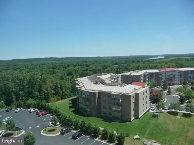 19355 Cypress Ridge Terrace, Unit 807 Leesburg, VA 20176 - Photo 2 of 29 a view of a backyard with plants and lake
