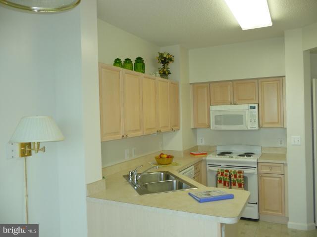19355 Cypress Ridge Terrace, Unit 807 Leesburg, VA 20176 - Photo 16 of 29 a kitchen with a sink and a stove top oven