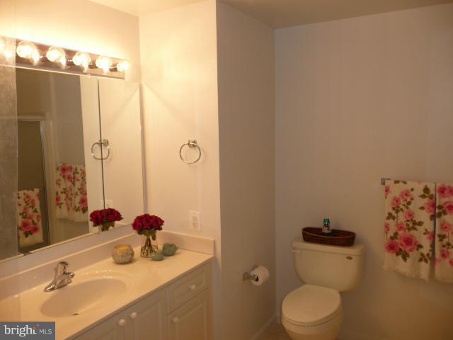 19355 Cypress Ridge Terrace, Unit 807 Leesburg, VA 20176 - Photo 9 of 29 a bathroom with a sink toilet and shower