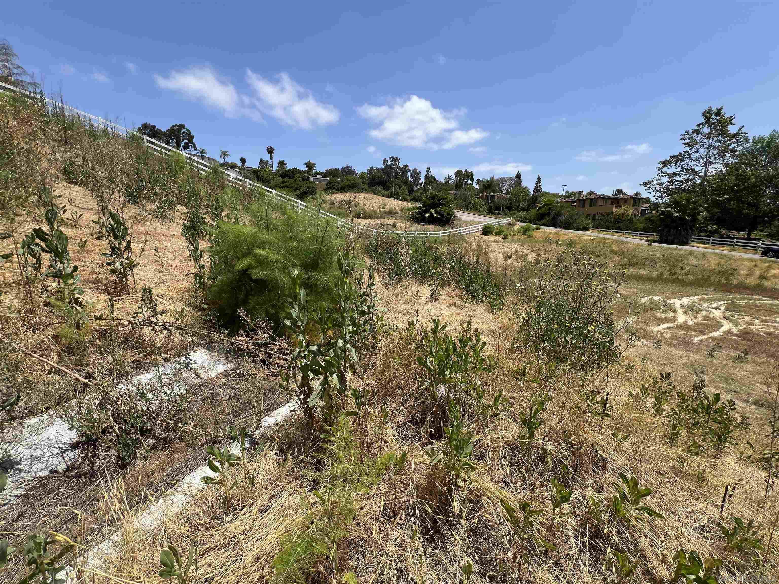 2946 Lone Jack Road Encinitas, CA 92024 - Photo 19 of 30 a view of a lake with a building in the background