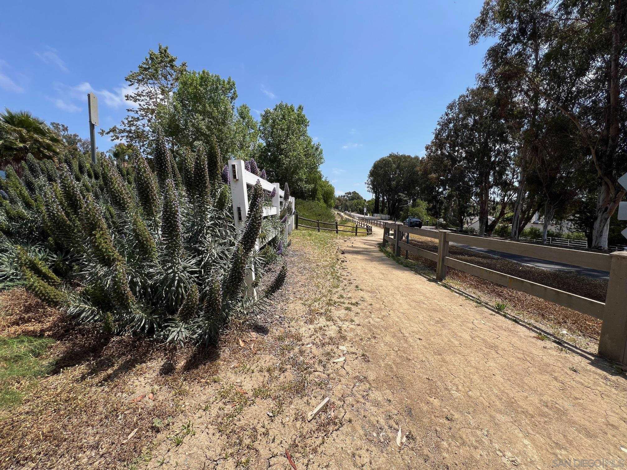 2946 Lone Jack Road Encinitas, CA 92024 - Photo 30 of 30 a view of outdoor space