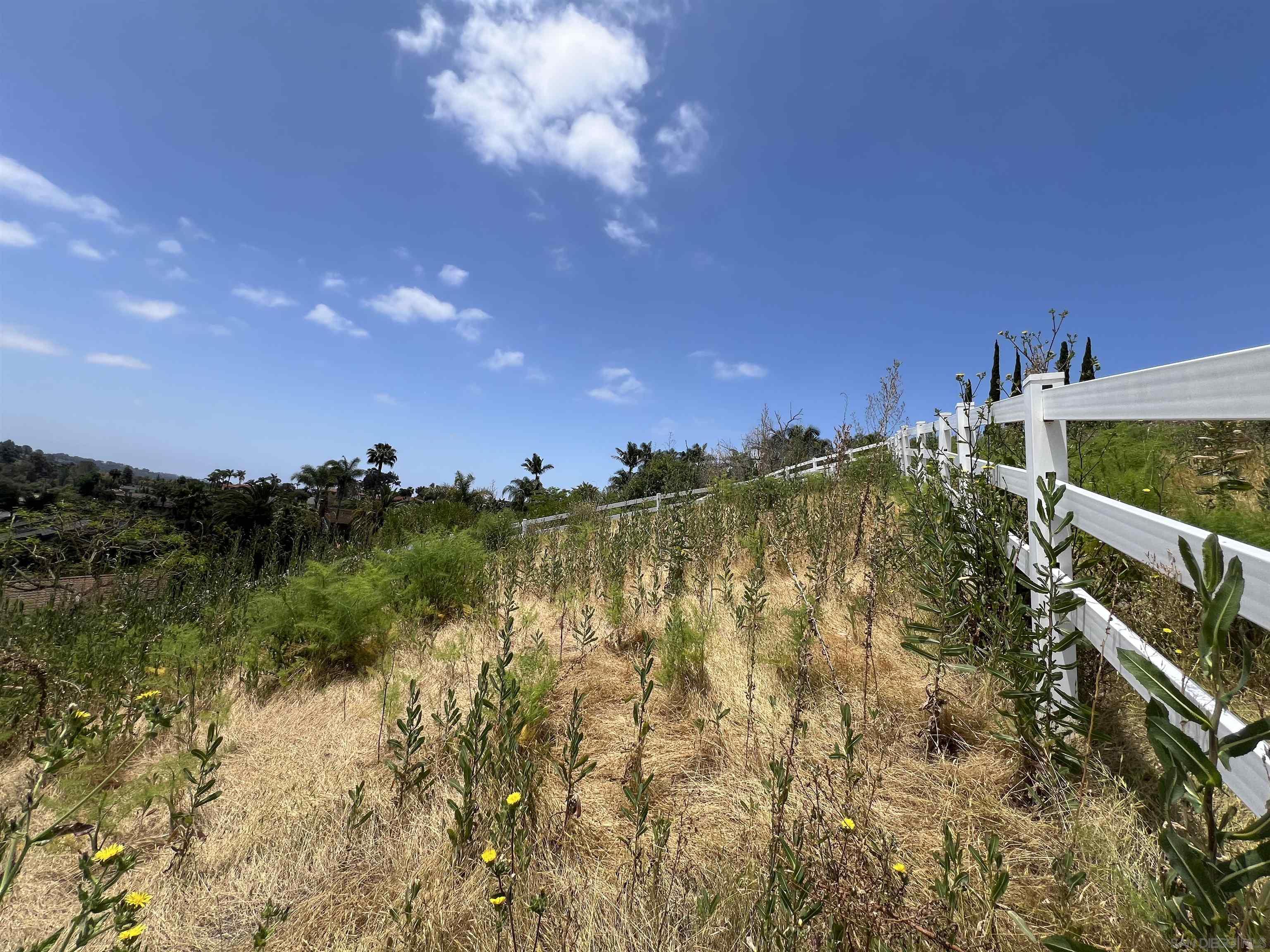 2946 Lone Jack Road Encinitas, CA 92024 - Photo 9 of 30 a view of a lake