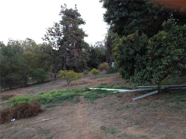 2583 Majella Road Vista, CA 92084 - Photo 6 of 8 Garden and Citrus trees