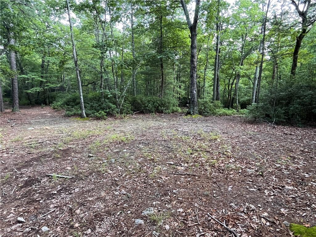 Tbd Carson Creek Road Lowgap, NC 27024 - Photo 12 of 31