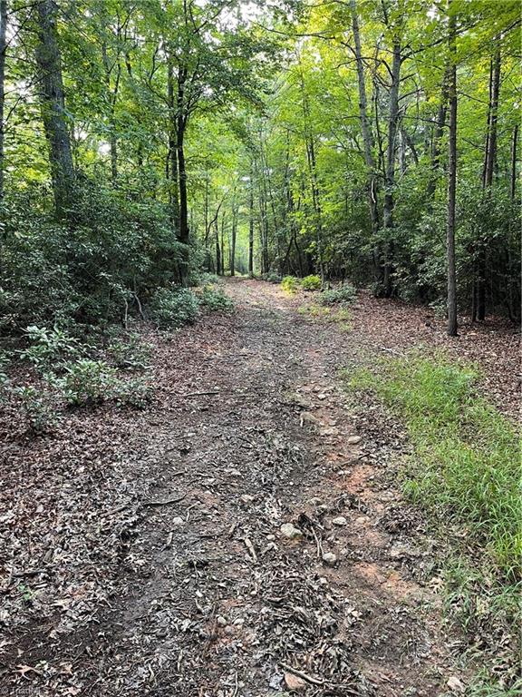 Tbd Carson Creek Road Lowgap, NC 27024 - Photo 13 of 31