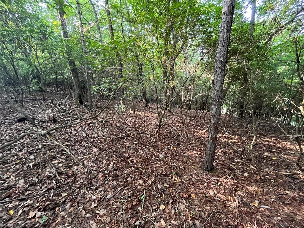 Tbd Carson Creek Road Lowgap, NC 27024 - Photo 14 of 31