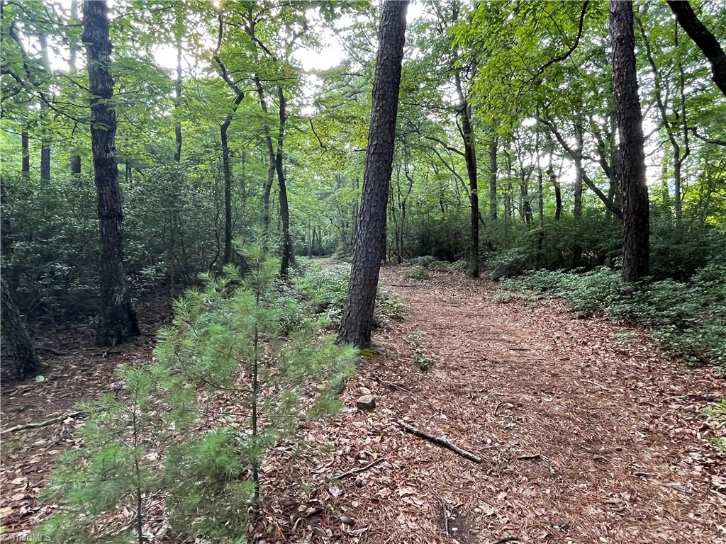 Tbd Carson Creek Road Lowgap, NC 27024 - Photo 15 of 31