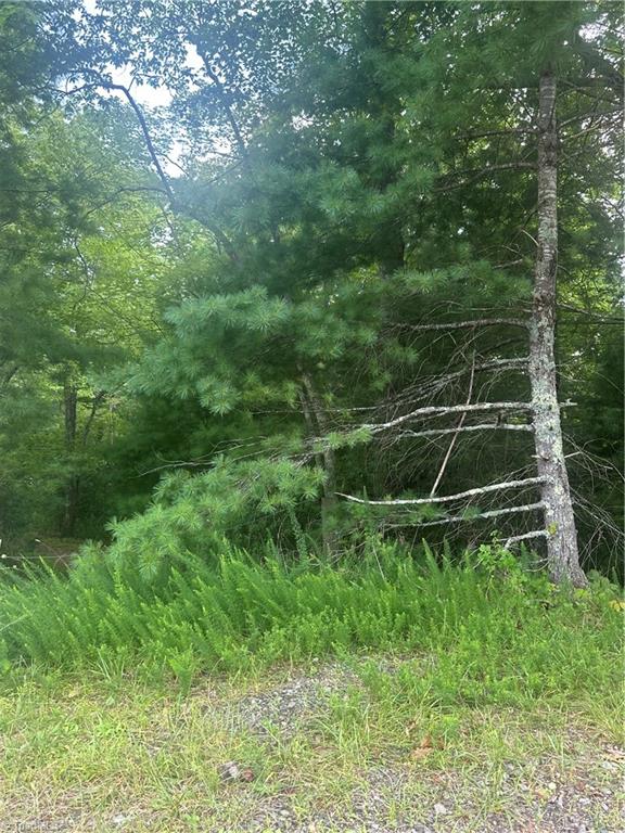 Tbd Carson Creek Road Lowgap, NC 27024 - Photo 16 of 31