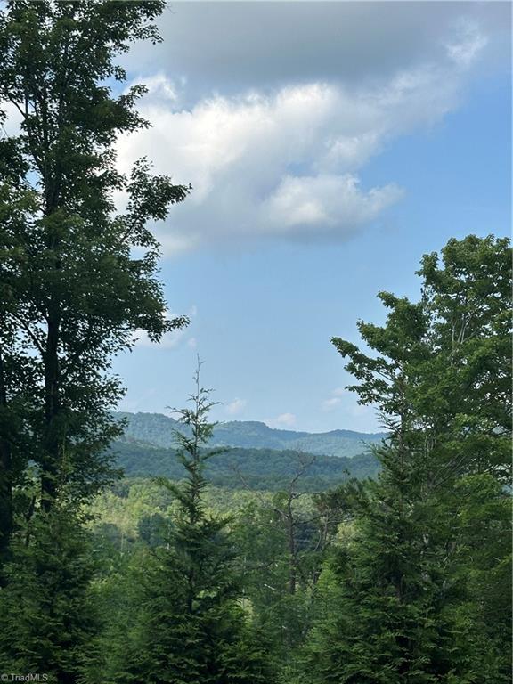 Tbd Carson Creek Road Lowgap, NC 27024 - Photo 17 of 31