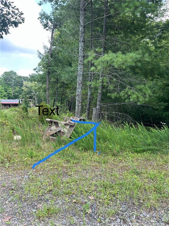 Tbd Carson Creek Road Lowgap, NC 27024 - Photo 18 of 31