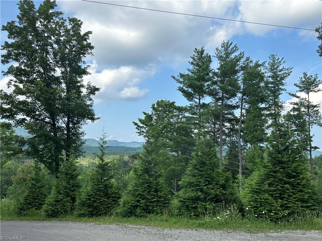 Tbd Carson Creek Road Lowgap, NC 27024 - Photo 19 of 31