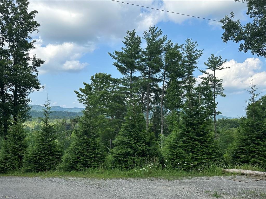 Tbd Carson Creek Road Lowgap, NC 27024 - Photo 20 of 31