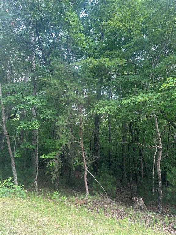 Tbd Carson Creek Road Lowgap, NC 27024 - Photo 21 of 31