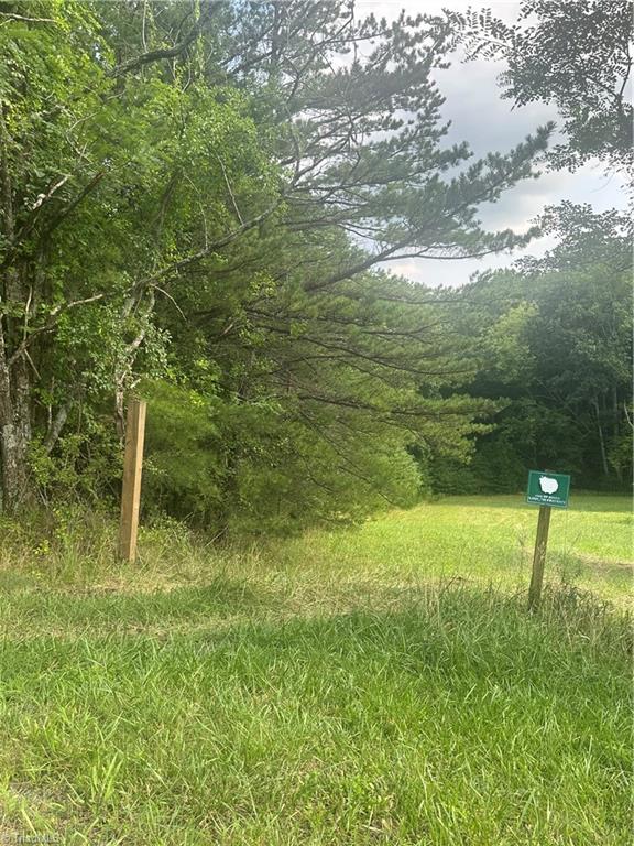 Tbd Carson Creek Road Lowgap, NC 27024 - Photo 22 of 31