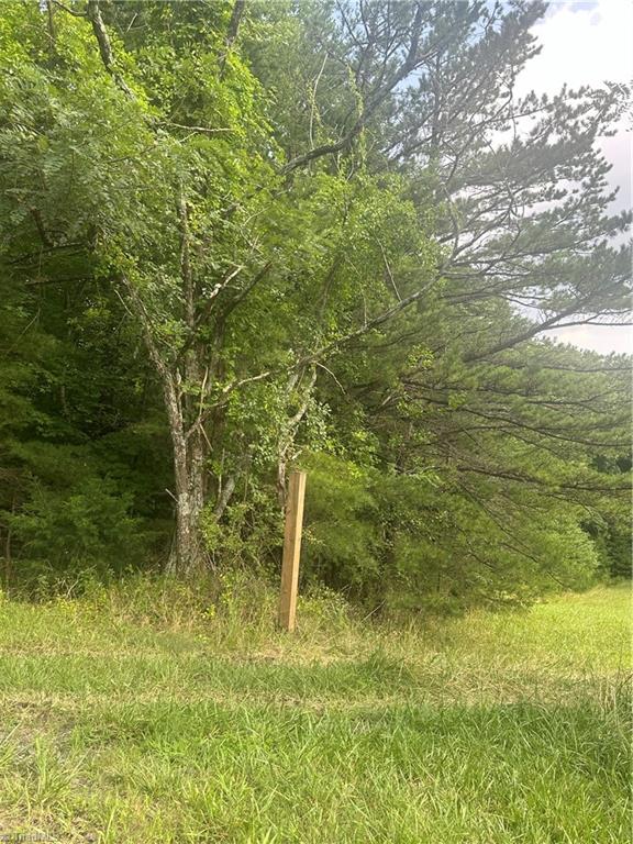 Tbd Carson Creek Road Lowgap, NC 27024 - Photo 24 of 31