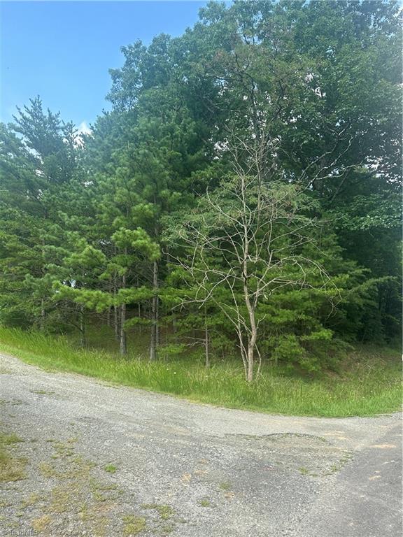 Tbd Carson Creek Road Lowgap, NC 27024 - Photo 26 of 31