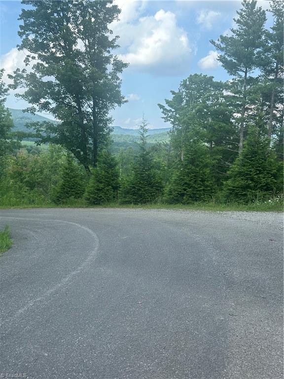 Tbd Carson Creek Road Lowgap, NC 27024 - Photo 27 of 31