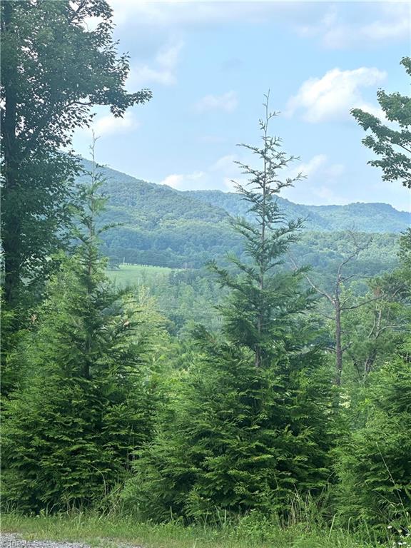 Tbd Carson Creek Road Lowgap, NC 27024 - Photo 28 of 31