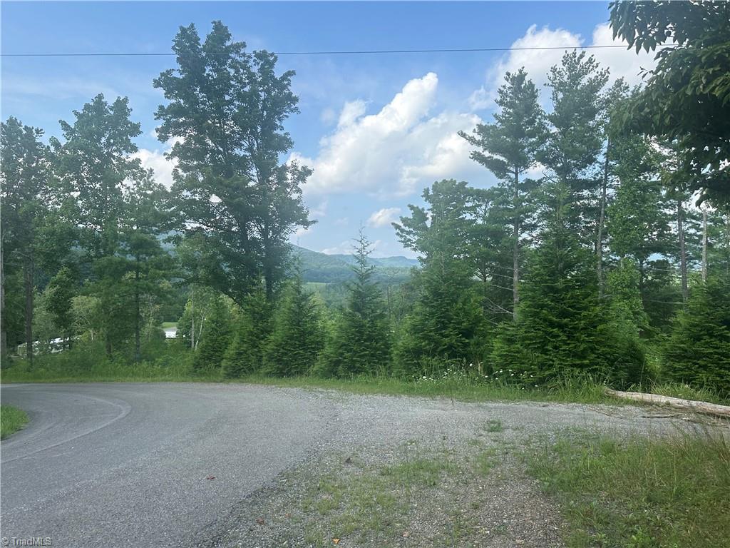 Tbd Carson Creek Road Lowgap, NC 27024 - Photo 29 of 31