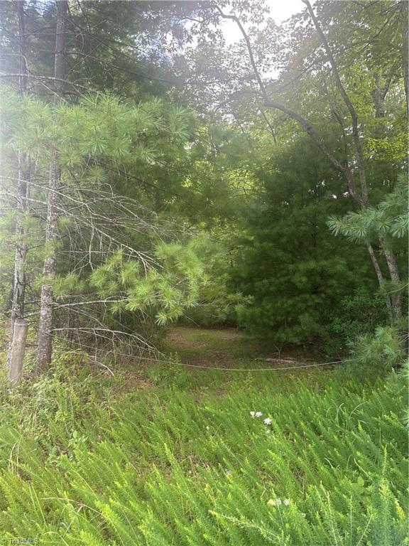 Tbd Carson Creek Road Lowgap, NC 27024 - Photo 30 of 31