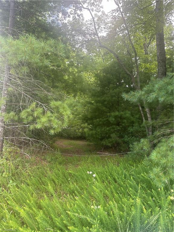 Tbd Carson Creek Road Lowgap, NC 27024 - Photo 31 of 31