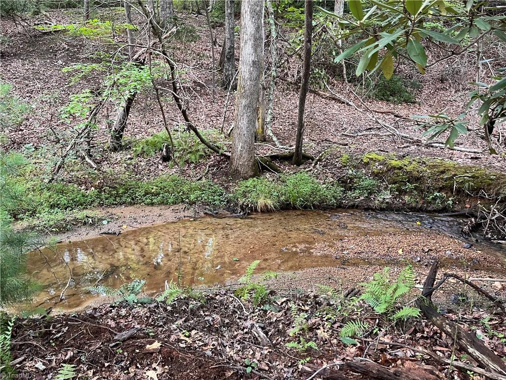 Tbd Carson Creek Road Lowgap, NC 27024 - Photo 4 of 31