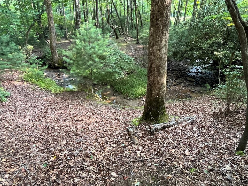 Tbd Carson Creek Road Lowgap, NC 27024 - Photo 7 of 31