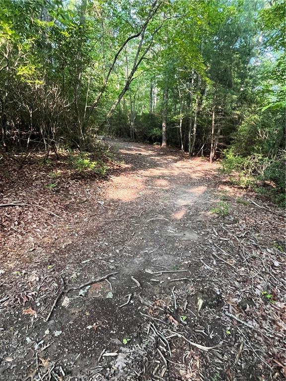 Tbd Carson Creek Road Lowgap, NC 27024 - Photo 9 of 31