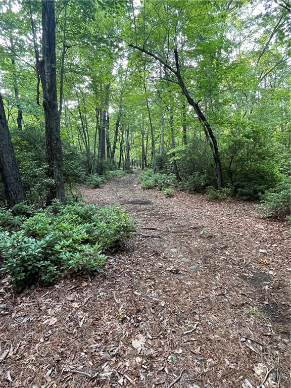 Tbd Carson Creek Road Lowgap, NC 27024 - Photo 10 of 31