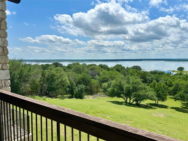 a view of a yard with potted plants and large tree
