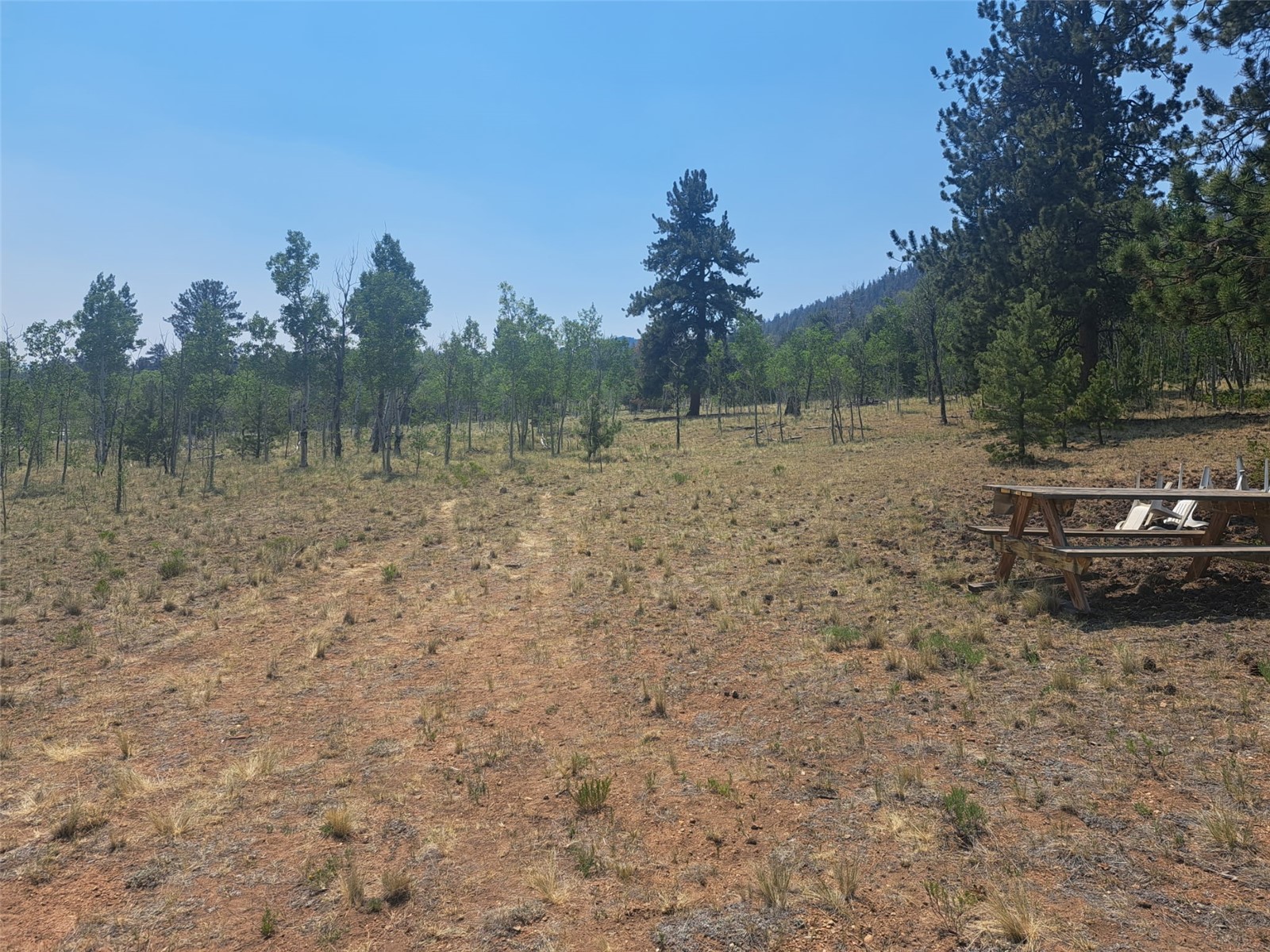 2338 Fitzsimmons Road Hartsel, CO 80449 - Photo 26 of 32