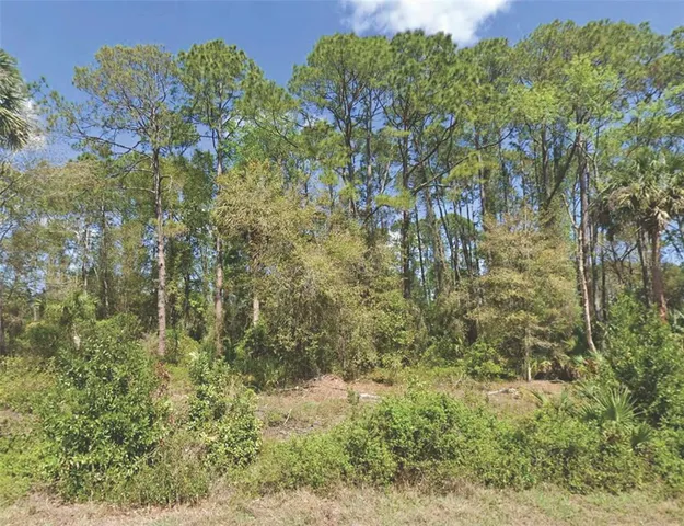 $20,000 | 318 Redwood Boulevard, Georgetown, FL 32139