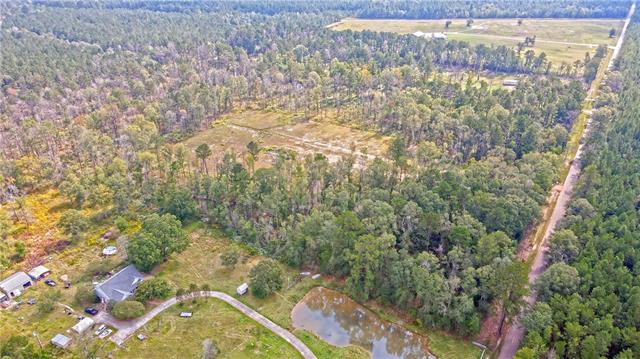 51034 George Road Tickfaw, LA 70466 - Photo 6 of 12