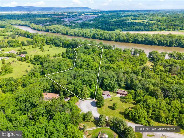 a view of yard with green space