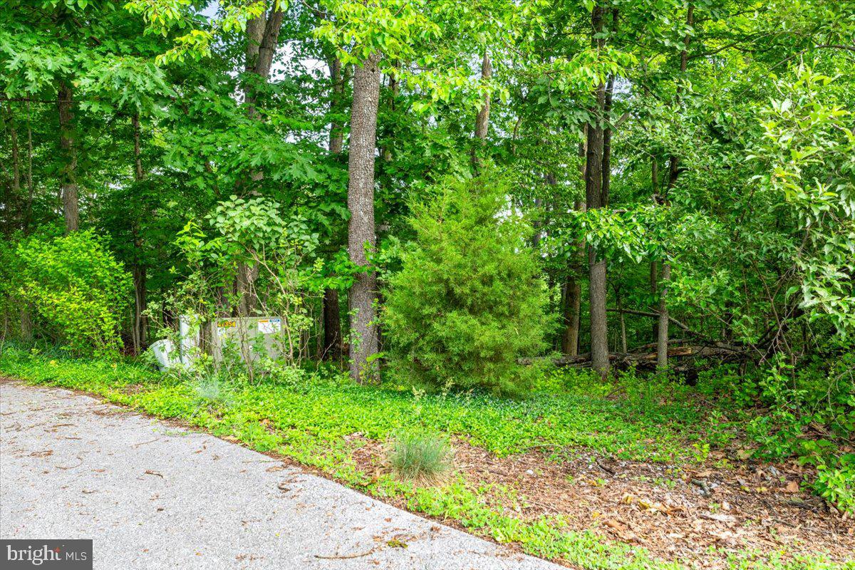 Gideon Lane Falling Waters, WV 25419 - Photo 11 of 23 a green field with lots of trees in it