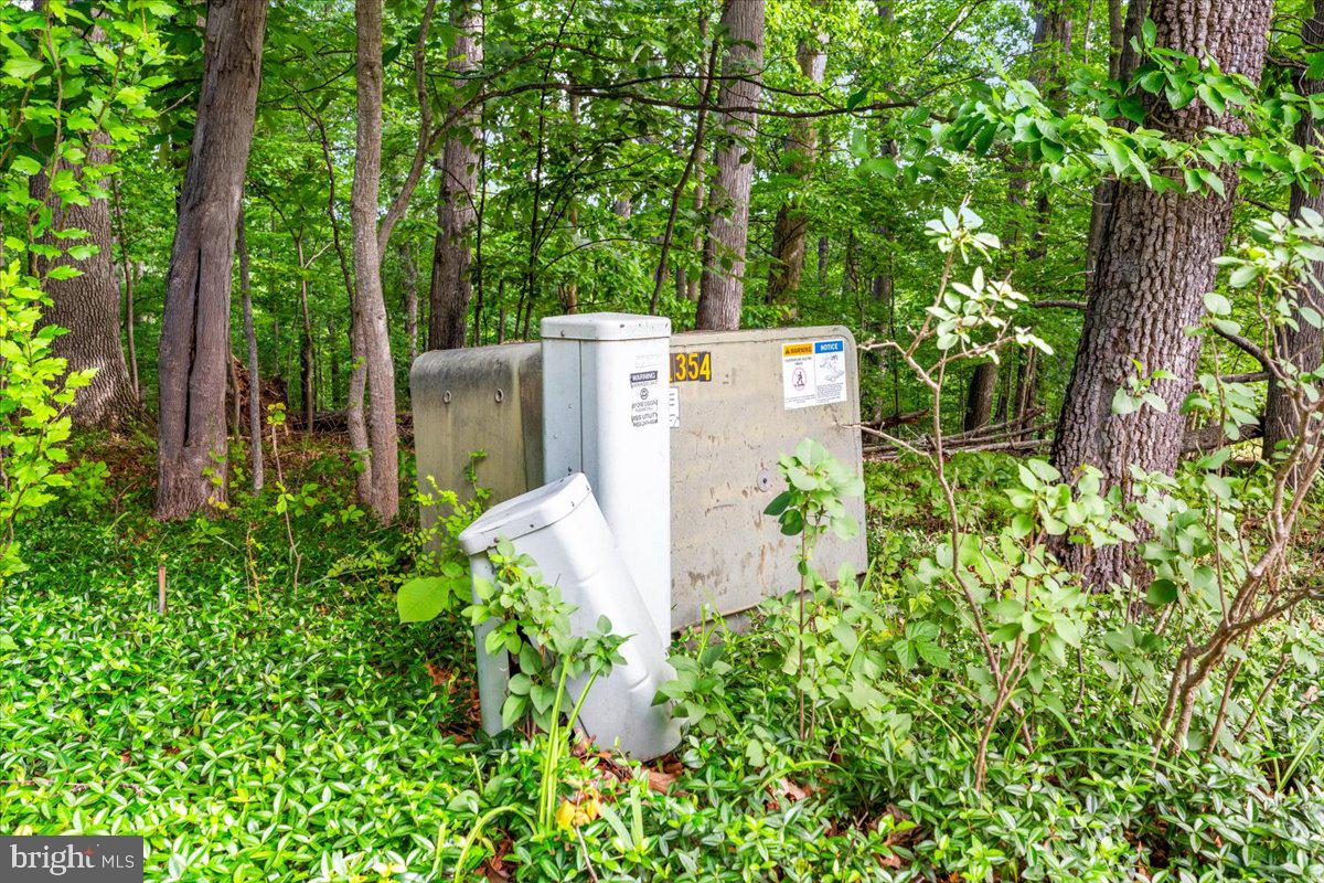 Gideon Lane Falling Waters, WV 25419 - Photo 12 of 23 a view of a backyard with plants