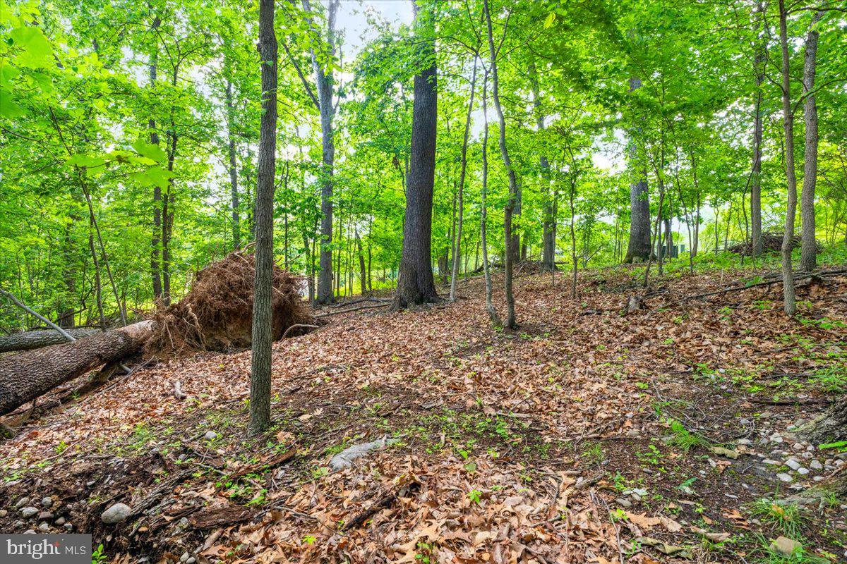 Gideon Lane Falling Waters, WV 25419 - Photo 16 of 23 a backyard of a house with lots of green space