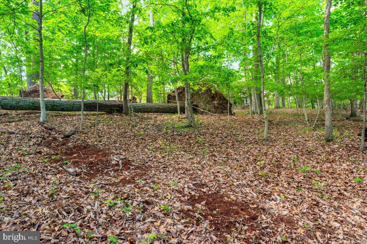 Gideon Lane Falling Waters, WV 25419 - Photo 17 of 23 a backyard of a house with lots of green space