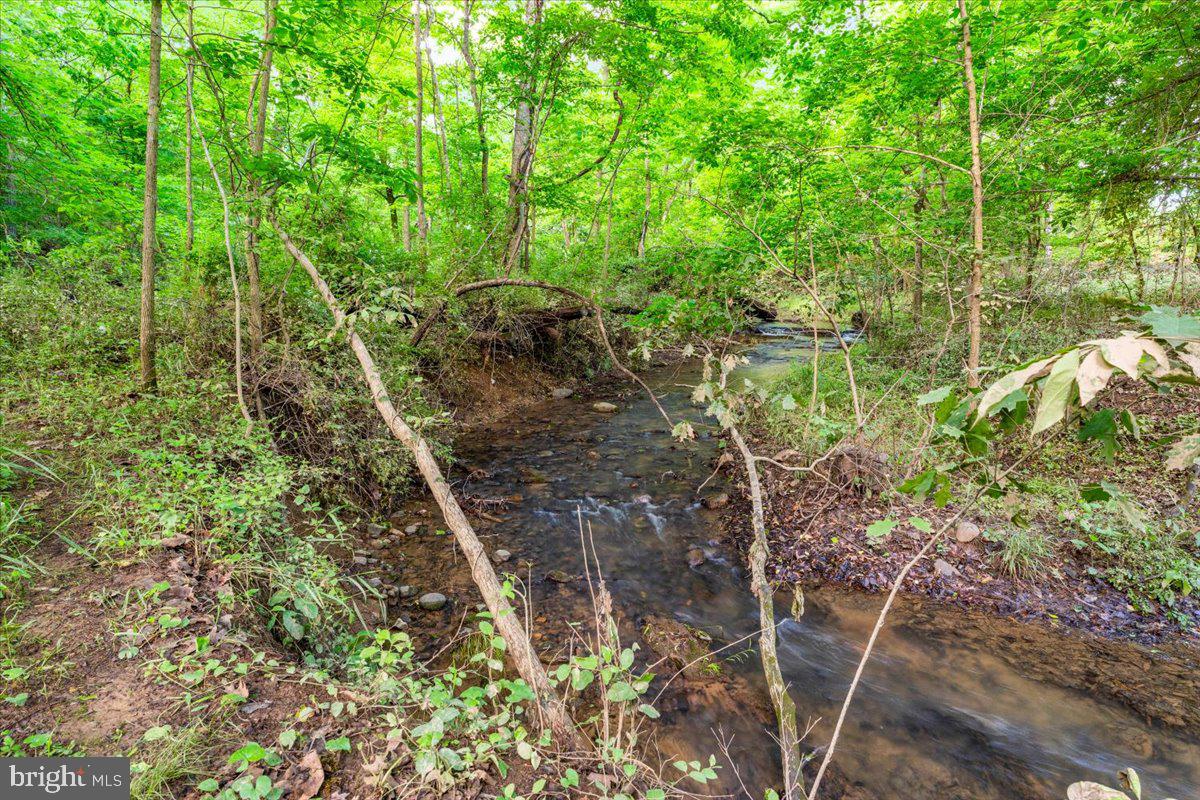 Gideon Lane Falling Waters, WV 25419 - Photo 21 of 23 a backyard of a house with lots of green space