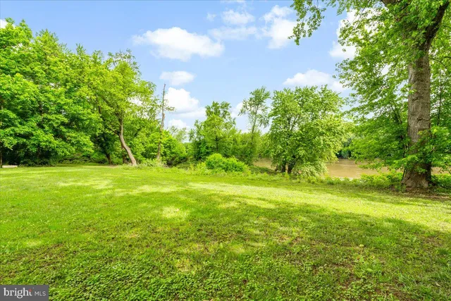 a view of yard with green space