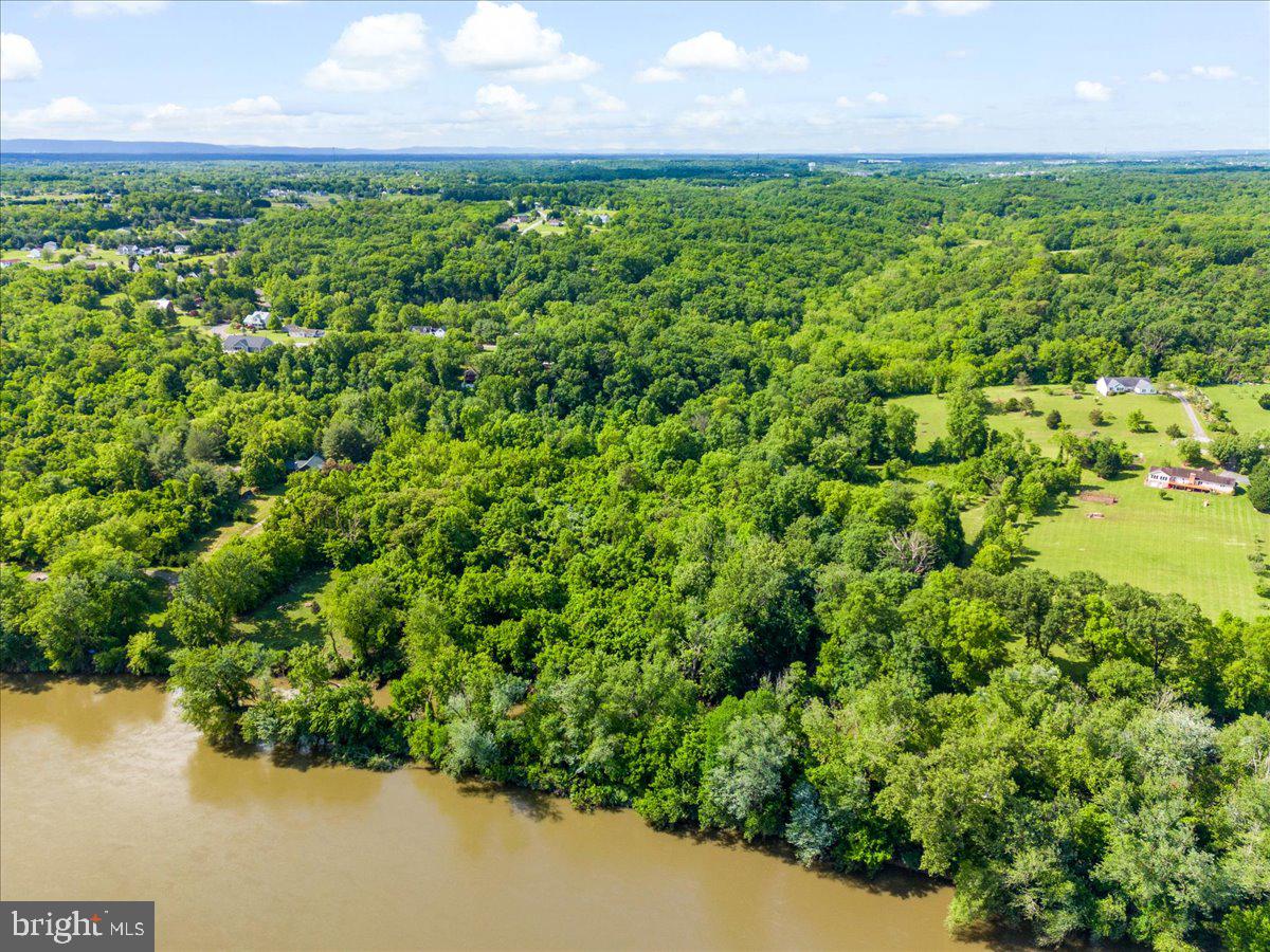 Gideon Lane Falling Waters, WV 25419 - Photo 23 of 23 a view of a yard with a plant