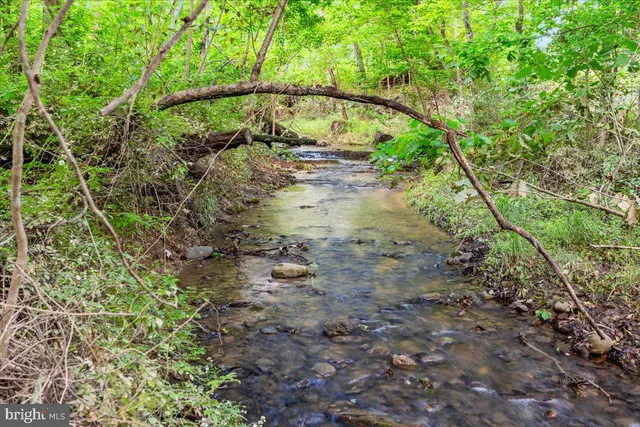 a view of a yard in a yard