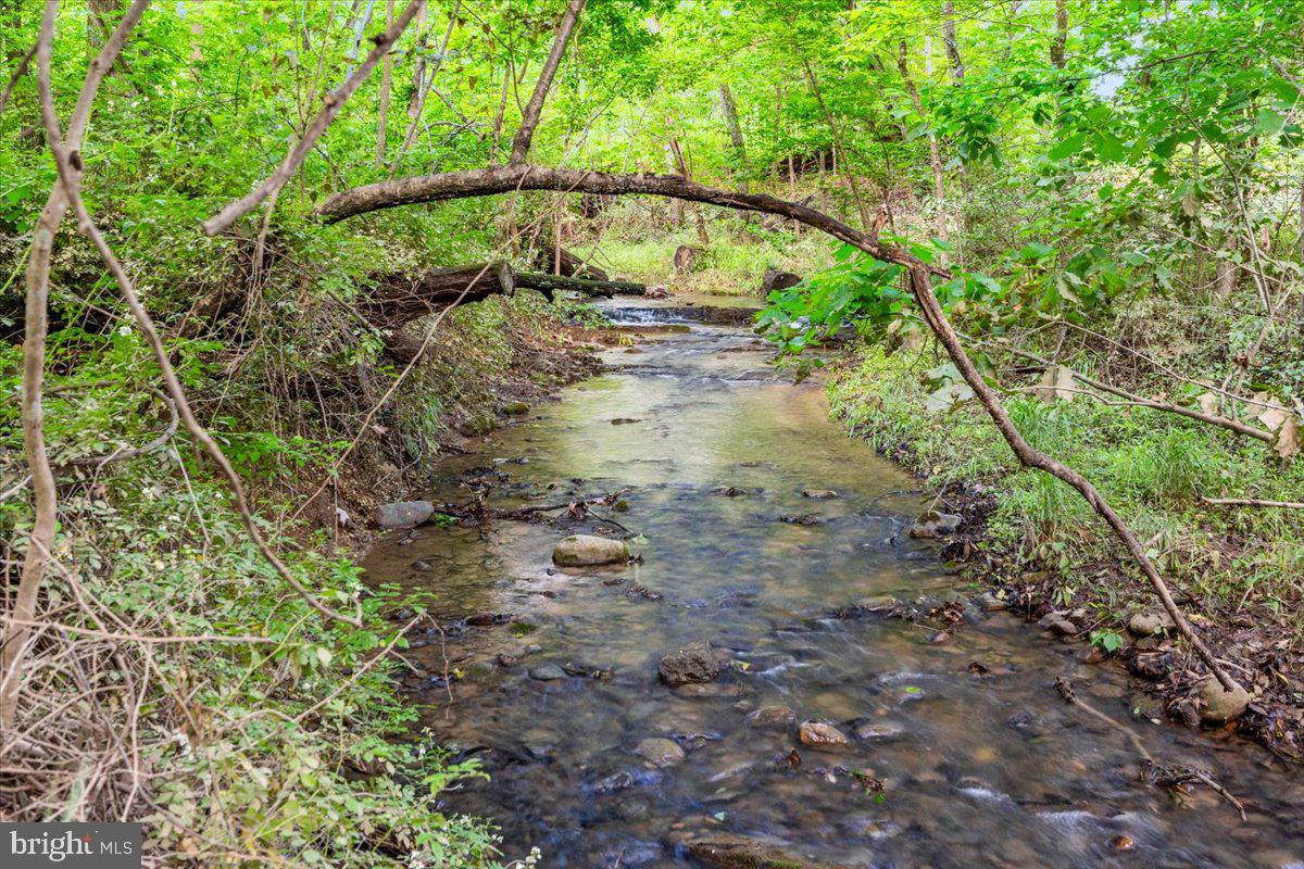 Gideon Lane Falling Waters, WV 25419 - Photo 3 of 23 a view of a yard in a yard