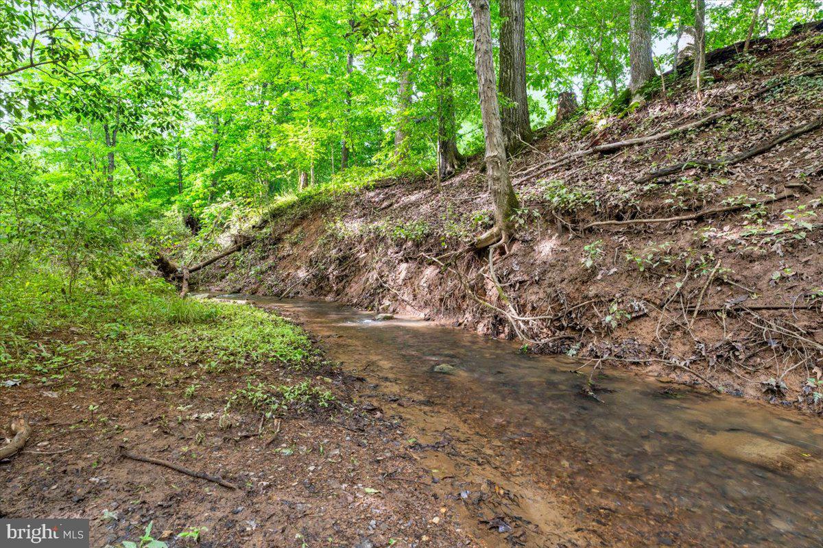 Gideon Lane Falling Waters, WV 25419 - Photo 4 of 23 a view of a forest with trees in the background