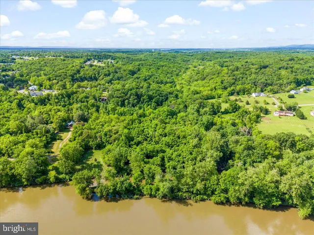 a view of a garden from a lake