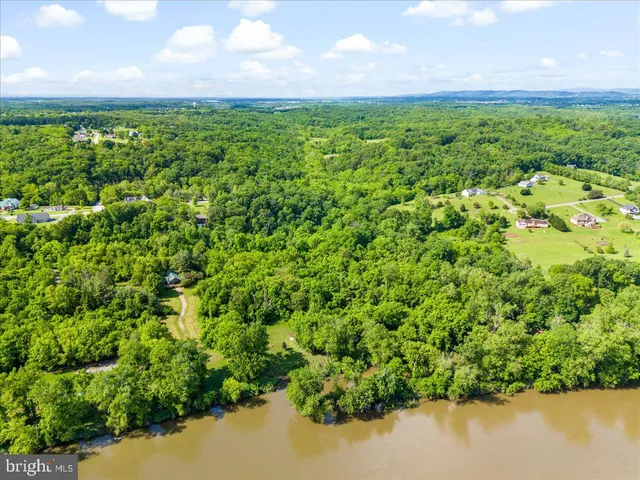 a view of a lush green forest with a lake