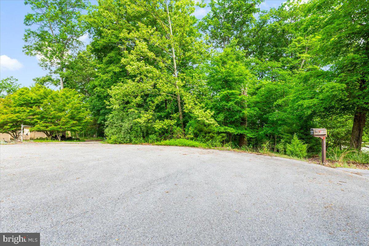 Gideon Lane Falling Waters, WV 25419 - Photo 10 of 23 a view of a field with plants and trees