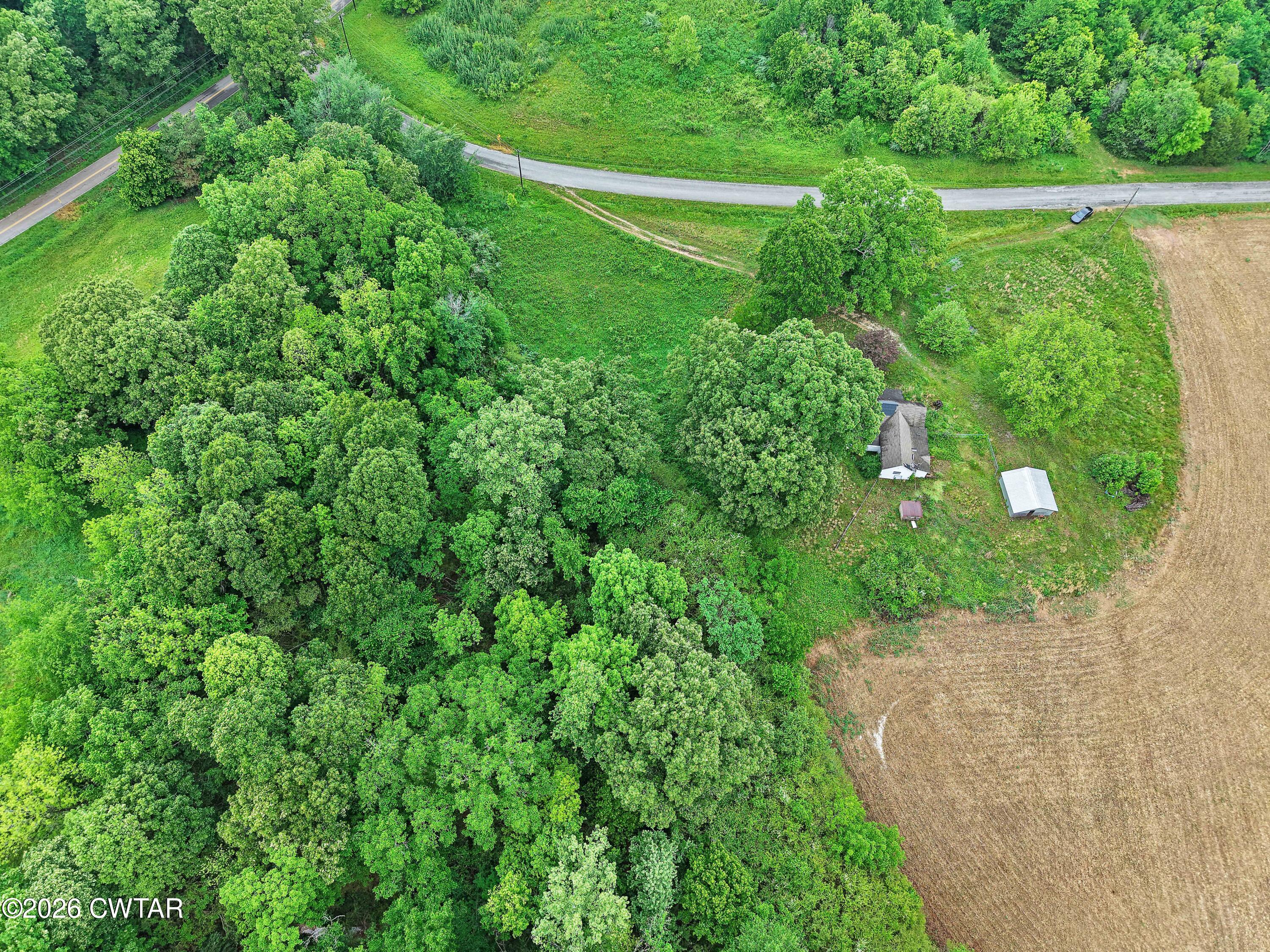 1525 Mill Creek Road Cedar Grove, TN 38321 - Photo 12 of 15 a view of a garden with a lake