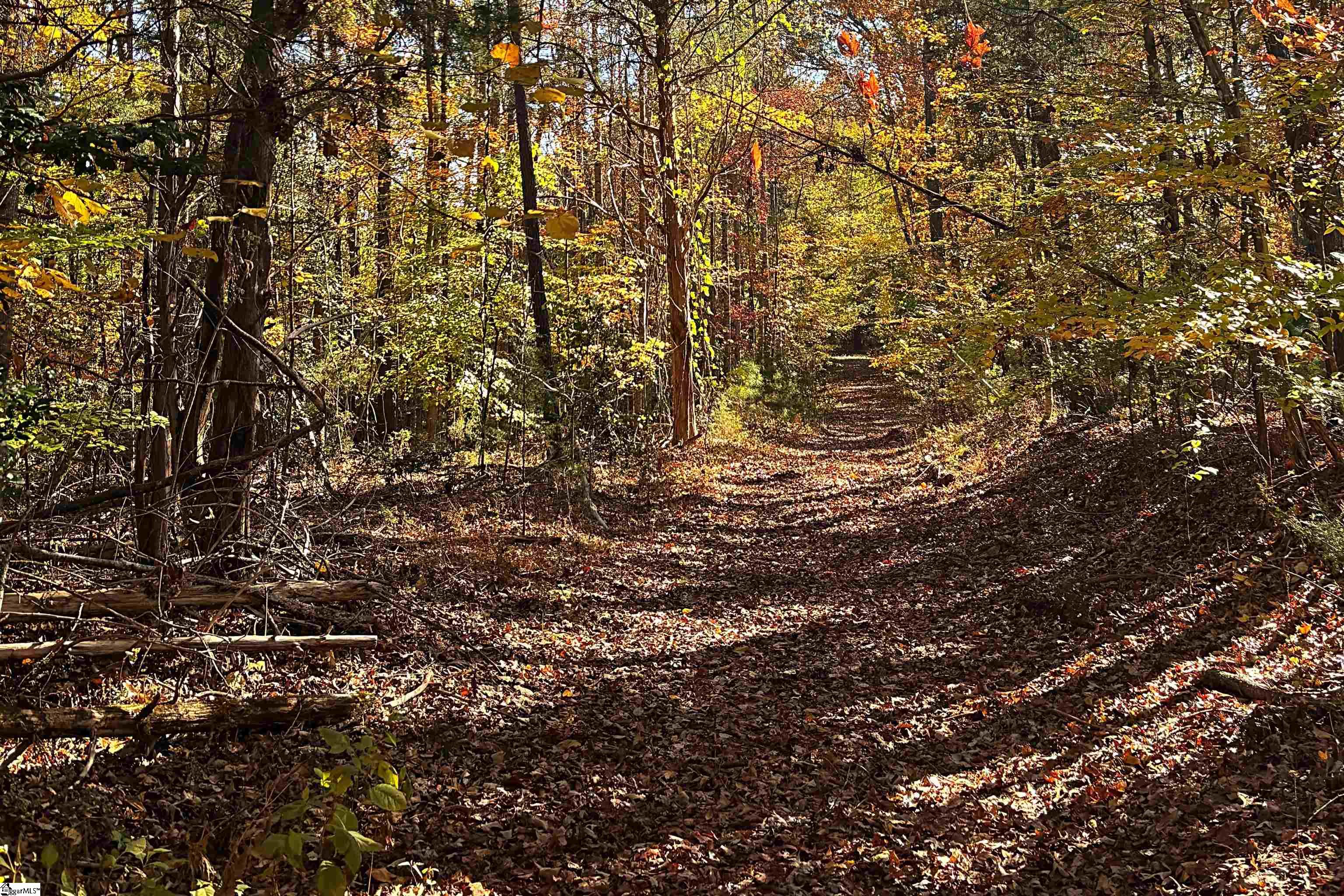 45 Deer Meadows Road Laurens, SC 29360 - Photo 2 of 12