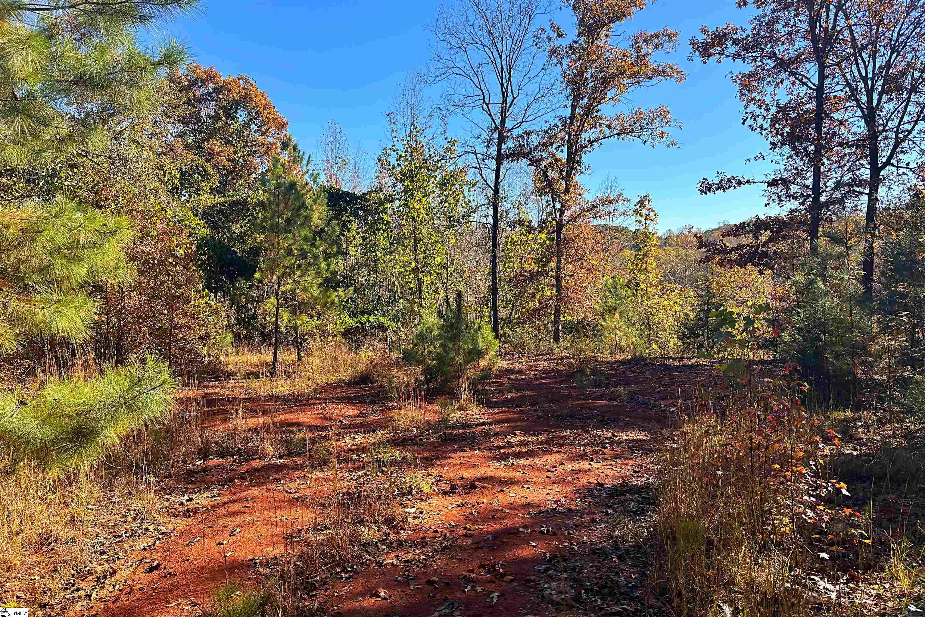 45 Deer Meadows Road Laurens, SC 29360 - Photo 4 of 12